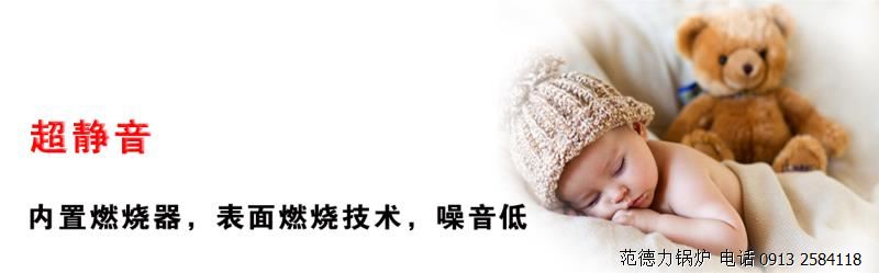 范德力全預混冷凝低氮變頻鍋爐